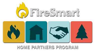 Colorful fire smart logo